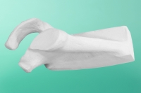 Schulterblatt, links    70-1000