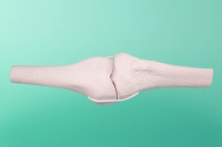 Linkes, mittleres Kniegelenk   40-1010