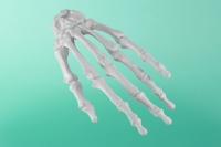 Linken Hand     80-1010