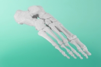 Rechter Fuß 4t     20-1521