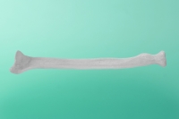 Knochen des Speiche    80-1200