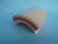 Modell für Schulungen über Einrichten von Nähten und chirurgischen Knoten