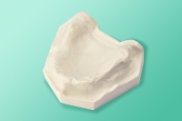 Model szczęki atroficznej 10-5015