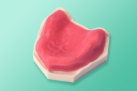 Model szczęki atroficznej ze śluzówką 10-5016