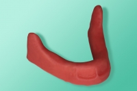 10-1151 Model żuchwy bezzębnej